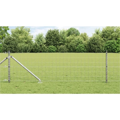 Afbeelding van vidaXL Euro Fence met 13 Spijker Palen 0.6x25 m Gegalvaniseerd Staal