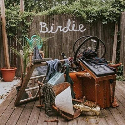 Afbeelding van Dog Slaughter Beach Birdie (LP)