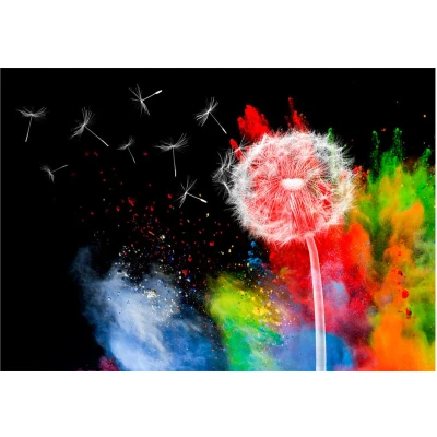 Afbeelding van Fotobehang Colourful Element Vliesbehang