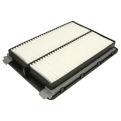 Afbeelding van Filtron Luchtfilter AP 197/8