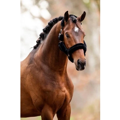 Afbeelding van HB showtime Allround Teddy halster