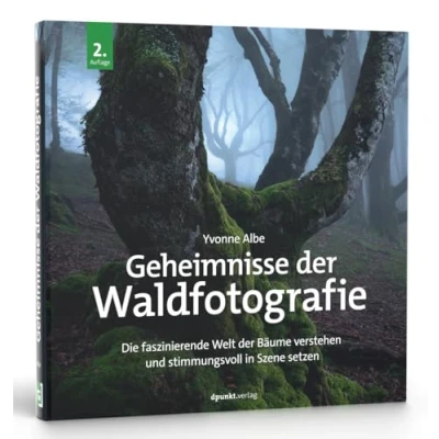 Afbeelding van Geheimnisse der Waldfotografie: Die faszinierende Welt Bäume verstehen und stimmungsvoll in Szene setzen