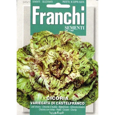 Afbeelding van Roodlof, Cicoria Castelfranco