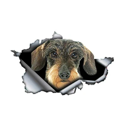 Afbeelding van 13 Cm X 8 Draad Kortharige Teckel Auto Stickers Gescheurde Metalen Reflecterende Waterdichte accessoires
