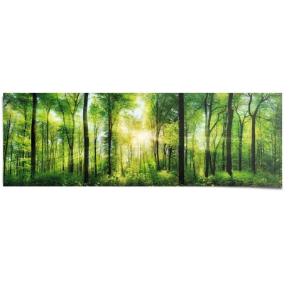Afbeelding van Reinders! Poster Zomerbos