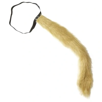 Afbeelding van WIDMANN Leeuwen staart Accessoires &gt; Overige