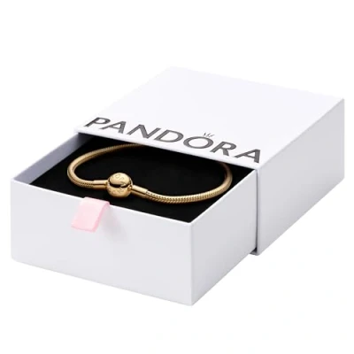 Afbeelding van Pandora 568748C00 Moments snake chain Armband lengte 20 cm