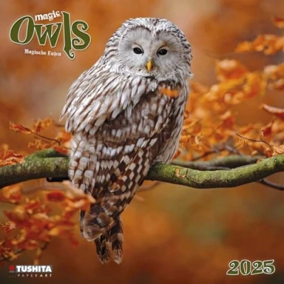 Afbeelding van Magic Owls Kalender 2025