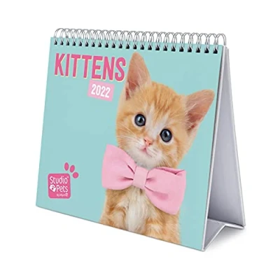 Afbeelding van Grupo Erik CS22012 Kalender 2022 Studio Pets Cats Bureaukalender 12 Maanden,Kittens