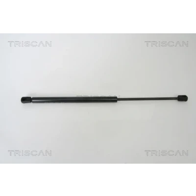 Afbeelding van Triscan Gasveer 8710 29272