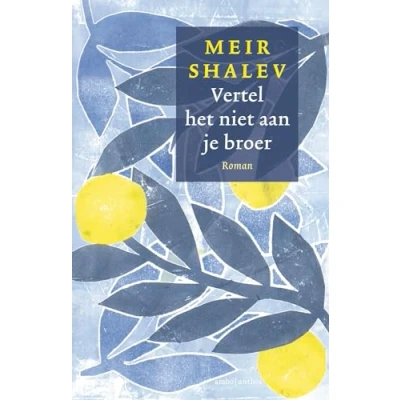 Afbeelding van Vertel het niet aan je broer (Hardback)