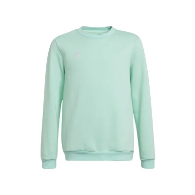 Afbeelding van adidas Performance Fussball Teamsport ENTR Sweater voor kinderen, Maat: 164, Tuerkis