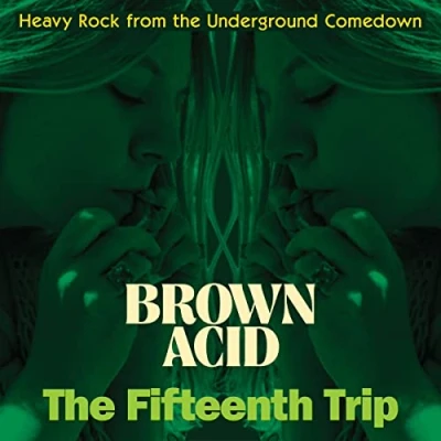 Afbeelding van Various Brown Acid: the Fifteenth Trip (LP)