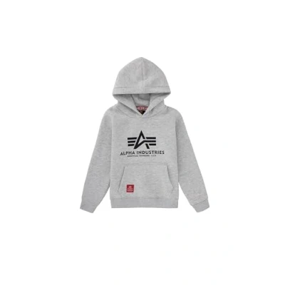 Afbeelding van Alpha Industries Hoodie voor kinderen, Maat: 128, Grey