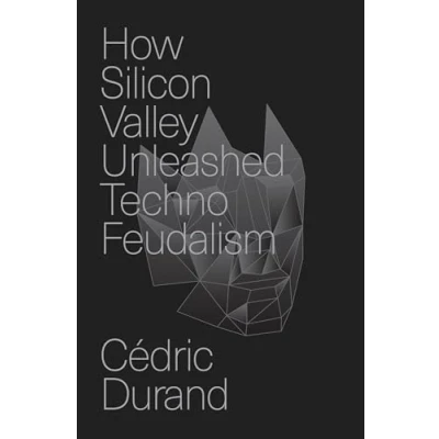 Afbeelding van How Silicon Valley Unleashed Techno feudalism