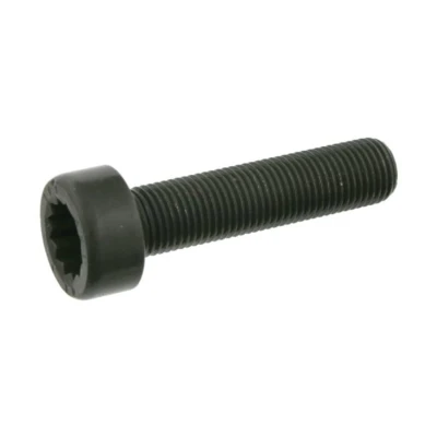 Afbeelding van Febi Bilstein Vliegwielbout 24612