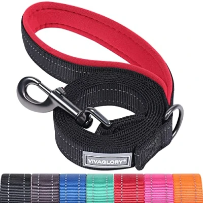 Afbeelding van Vivaglory Hond Lead met Gevoerde Handgreep, Zware Reflecterende Nylon Training Leash voor Kleine tot Grote Honden