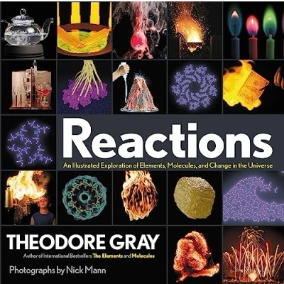 Afbeelding van Reactions: An Illustrated Exploration of Elements, Molecules, and Change in the Universe