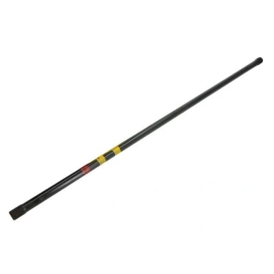 Afbeelding van Reinhoch Koepelschoor RH10 2013