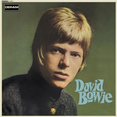 Afbeelding van David Bowie (2 LPs)