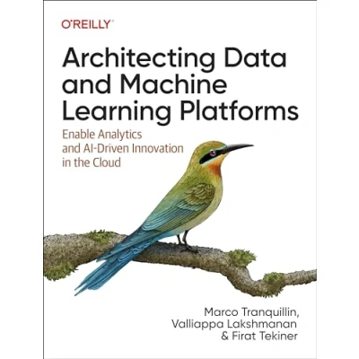 Afbeelding van Architecting Data and Machine Learning Platforms: Enable Analytics Ai Driven Innovation in the Cloud