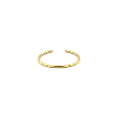 Afbeelding van Mint15 Verstelbare ring &#039;Tiny stacking ring&#039; Goud RVS/Stainless Steel