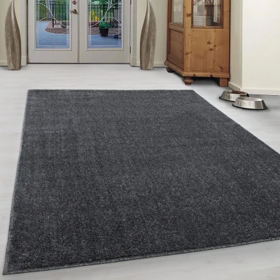 Afbeelding van Basics Effen Vloerkleed Grijs Laagpolig 120x170 cm