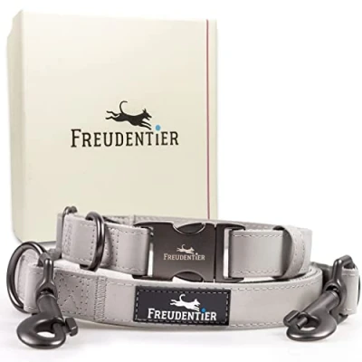 Afbeelding van Freudentier® Hondenriem + hondenhalsband in stijlvolle set Incl. geschenkdoos Onderhoudsvriendelijk &amp; robuust (30 40 cm)