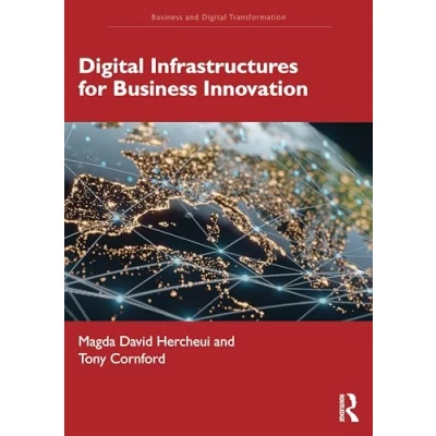 Afbeelding van Digital Infrastructures for Business Innovation