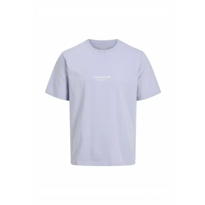Afbeelding van Jack &amp; Jones Jorvesterbro CREW NECK Tshirt print, Heren, Maat: Small, Cosmic sky
