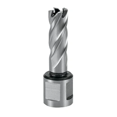 Afbeelding van TERRAX by RUKO kernboor HSS 12 mm Weldon