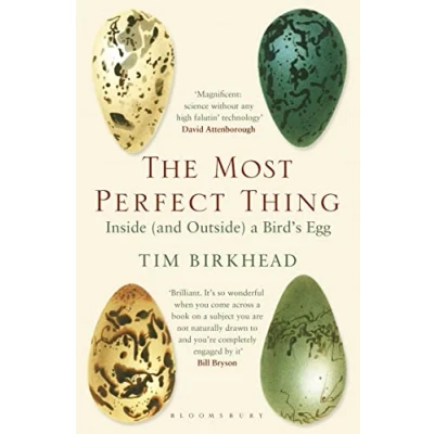 Afbeelding van The Most Perfect Thing: Inside (and Outside) a Bird’s Egg