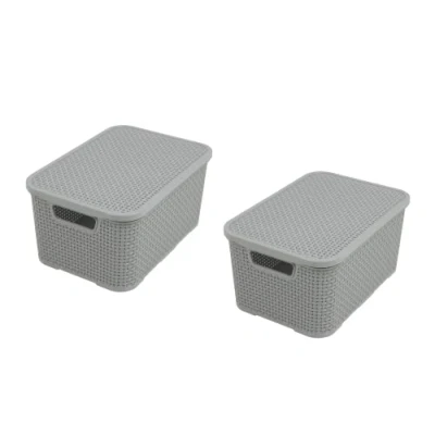 Afbeelding van Set van 2 plastic rotan manden met deksels gemaakt bisfenol A (BPA) vrij polypropyleen, lichtgrijs, maat S (7 liter)