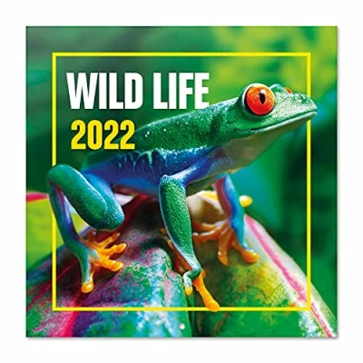 Afbeelding van Grupo Erik CP22005 Kalender 2021 2022 Wildlife Wandkalender 16 Maanden van september tot december