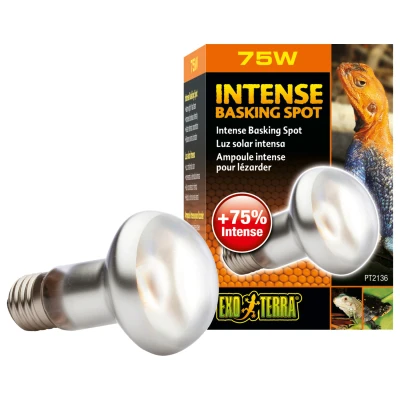 Afbeelding van Exo Terra Intense Basking Spot Verwarming 75 Watt S20