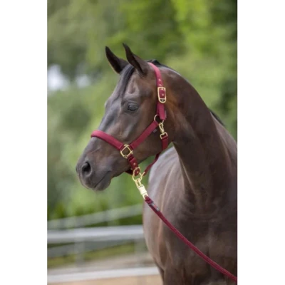 Afbeelding van Covalliero Halster Classy Merlot Shetland