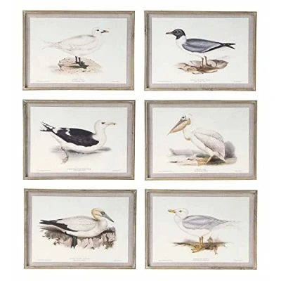 Afbeelding van Schilderij DKD Home Decor 70 x 2,5 50 cm Traditioneel Vogels (6 Onderdelen)