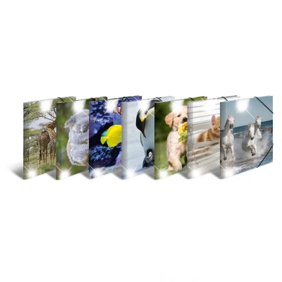 Afbeelding van Herma Assortiment elastomappen glossy dieren A3 PP 10 stuks gesortee