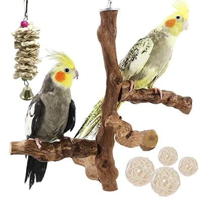 Afbeelding van Allazone 6 stuks natuurlijke vogelbaars met kauwspeelgoed, wijnstok, vogelstandaard, druivenstok, vogel, papegaai, baars, standaard voor papegaaien, parkieten, valkparkieten,
