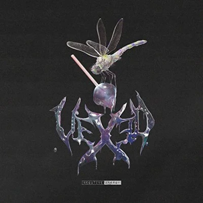 Afbeelding van Vexed Negative Energy (LP)