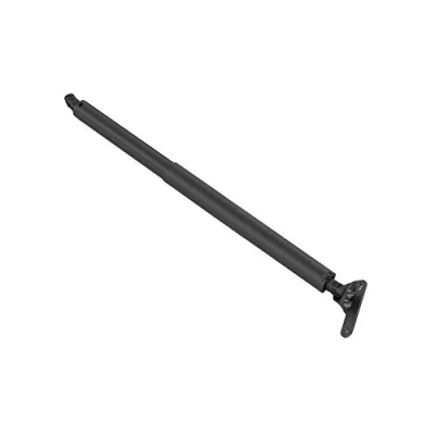 Afbeelding van Stabilus Gasveer 042069