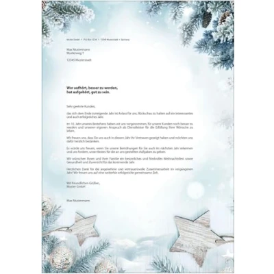 Afbeelding van SIGEL DP312 kerstbriefpapier, takken en sterren, 21 x 29,7 cm, 90 g/m2, wit groen, 25 vellen