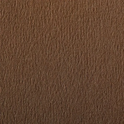 Afbeelding van Clairefontaine Ref 90865C Etival Gekleurd Graineerd Tekening Papier (Verpakking van 5 Vellen) A4 (29,7 x 21cm) 160gsm Cellulose Art Paper Bruin Zuurvrij, pH Neutraal