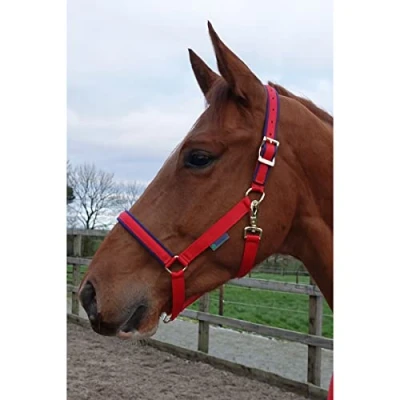 Afbeelding van Halster Bucas Dublin Crimson Pony