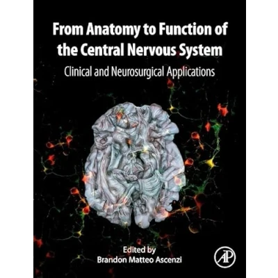 Afbeelding van From Anatomy to Function of the Central Nervous System
