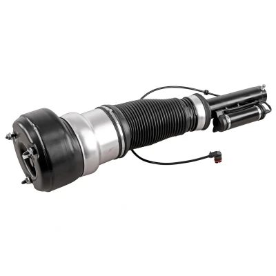 Afbeelding van Luchtveer Veerpoot VEMO V30 50 0027