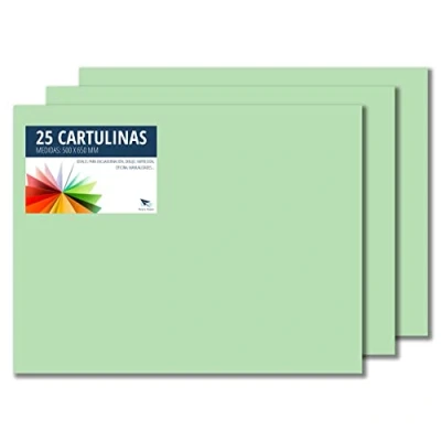 Afbeelding van Raylu Paper® 50 x 65 cm, 25 stuks, 180 g/m², ideaal voor knutselwerk, kantoor, tekenen, papyroflex (appelgroen)