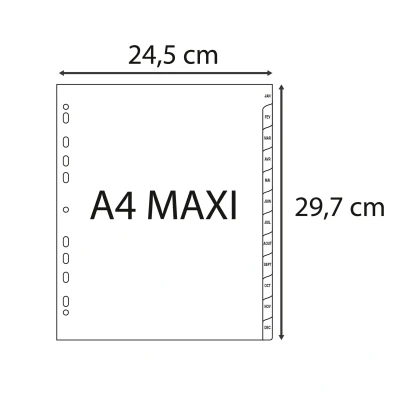 Afbeelding van Intercalaires imprimes polypropylene 13x100e 12 positions de janvier a decembre a4 maxi