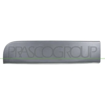 Afbeelding van Sier / beschermingspaneel, deur PRASCO RN9541457
