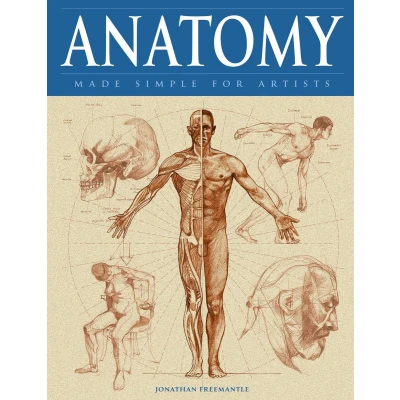 Afbeelding van Anatomy Made Simple For Artists